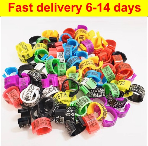 Customerized 100pcs birds - customerized,