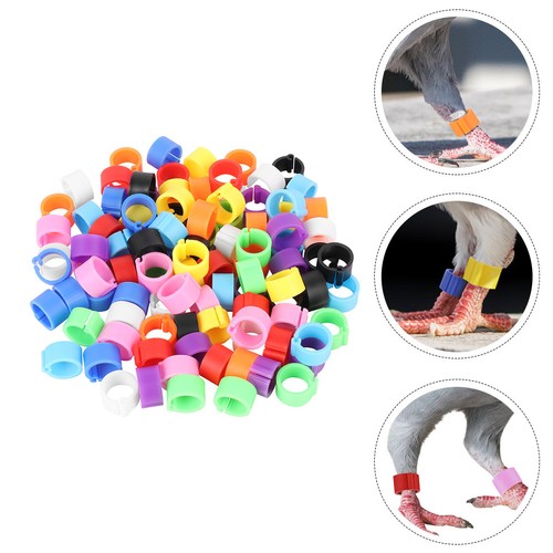 Reusable plastic pigeon leg - plastic,