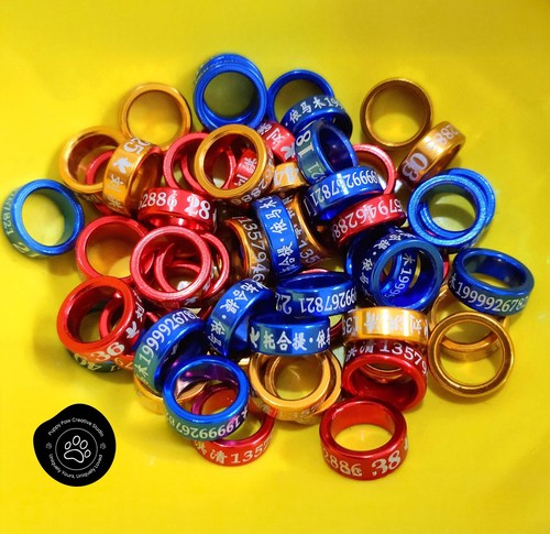 Custom premium pigeon metal - custom,