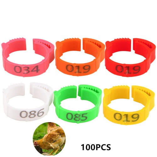 100pcs poultry bands foot - foot, ring