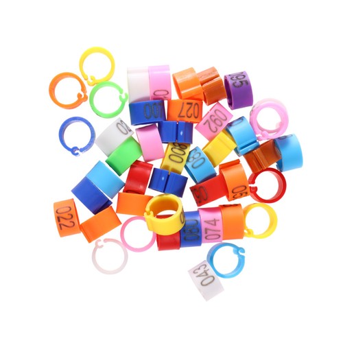 Durable plastic pigeon - plastic,