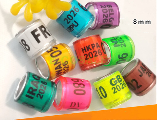 2026 multicolor 8mm - 2026,