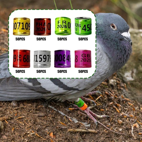 50x pigeon leg rings bird - pigeon,