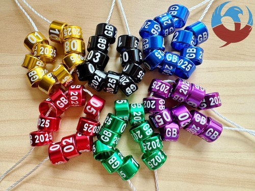 2025 numbered 8mm - 01-10, 10