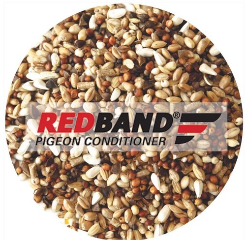 Red band pigeon conditioner - band,