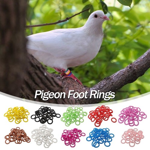 100pcs reusable foot - 100pcs,