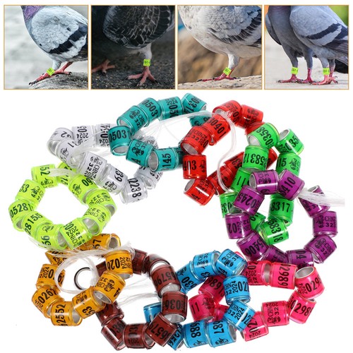 Aluminum bird leg bands 300pcs - leg,
