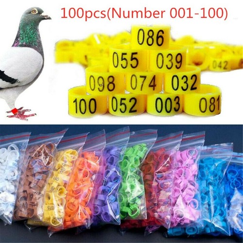 100pcs bird rings leg bands - leg,