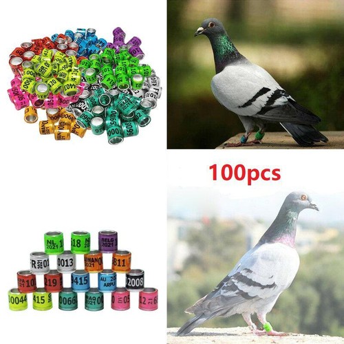 100 pieces 2021 aluminium - 100,