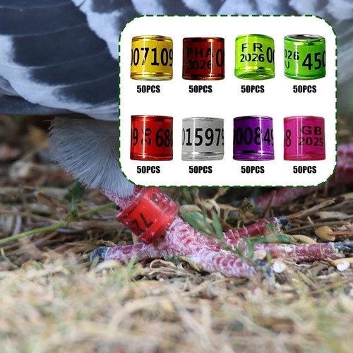 50x pigeon leg rings - 50x,