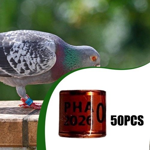 Plastic aluminum pigeon - aluminum,