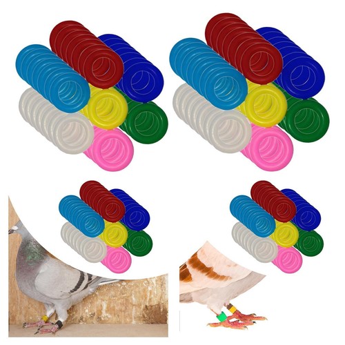 100 pieces bird foot - 100,
