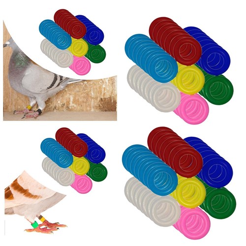 100 pieces bird foot rings - pieces,