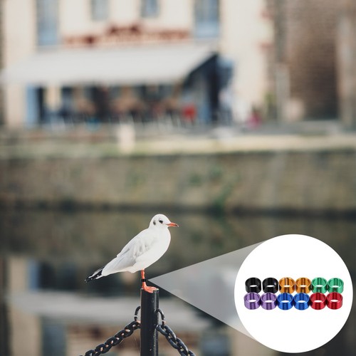 12pcs durable aluminum pigeon - 12pcs,