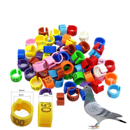 100 piece 8mm bird - leg, bands