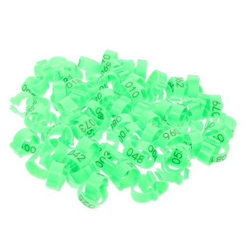 Green pigeon foot rings - green, abs