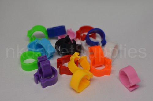 Pigeon leg bands - bands, /