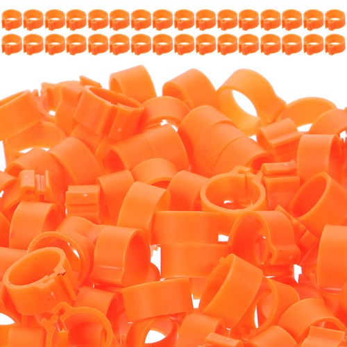 Reusable orange plastic - orange, pigeon