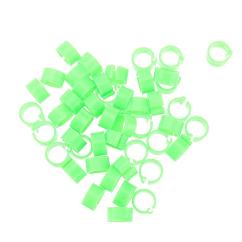 Reusable pigeon foot rings - foot,