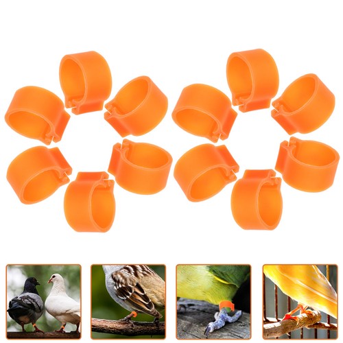 100pcs reusable orange pigeon - reusable,