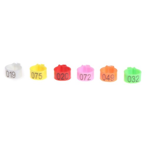 100pcs chicken bird leg rings - 100pcs,