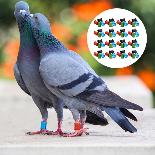 Aluminum racing pigeon leg - aluminum,