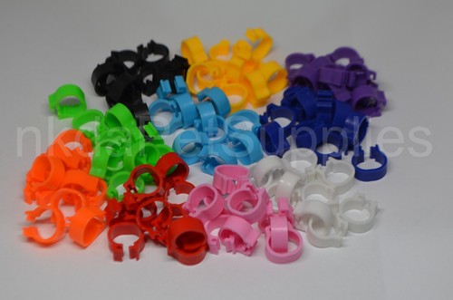 Pigeon leg bands rings - bands,