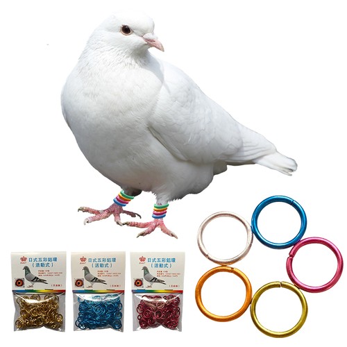 100pcs pigeon foot - 100pcs,