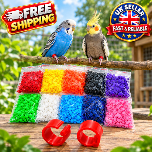 100 pcs bird - pcs,