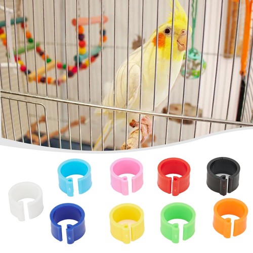 Colors chicks rings - chicks, set