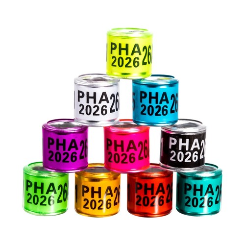 2026 multicolor 60pcs - multicolor, bird